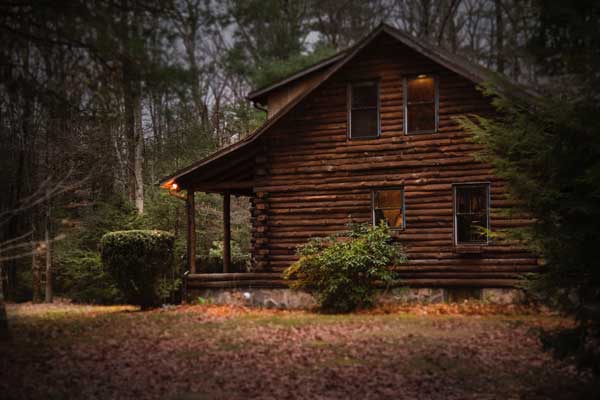 woods cabin
